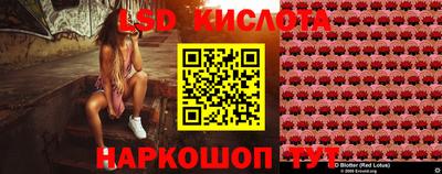 PSILOCYBIN Гусь-Хрустальный