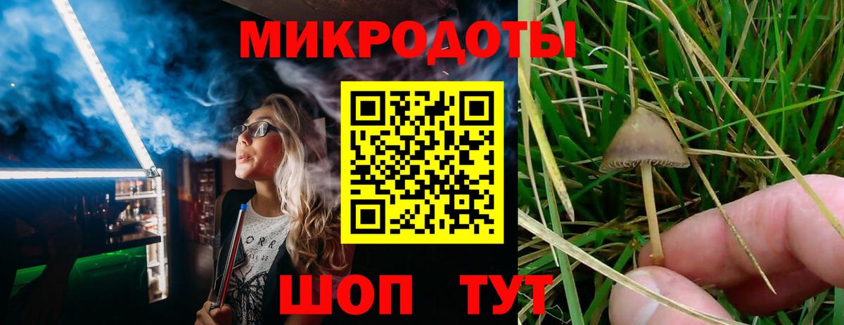 Галлюциногенные грибы мухоморы Кувандык